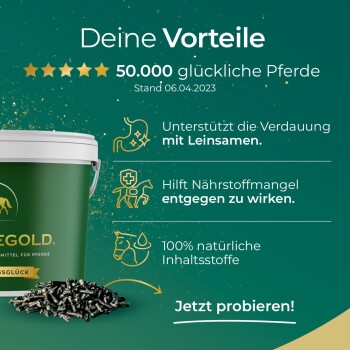 Grüner Pferdefuttereimer, der Vorteile hervorhebt: unterstützt die Verdauung, bekämpft Nährstoffmängel, 100% natürlich. "Jetzt probieren!"