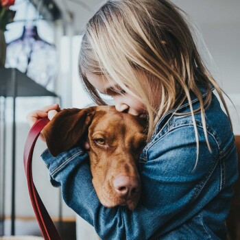 Ein Kind in einer Jeansjacke umarmt einen braunen Hund, der eine rote Leine hält, mit einer gemütlichen Inneneinstellung im Hintergrund.