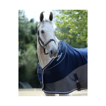 Ein graues Pferd, das eine marineblaue gesteppte Decke mit weißem Rand trägt, steht im Freien vor einem verschwommenen grünen Hintergrund.