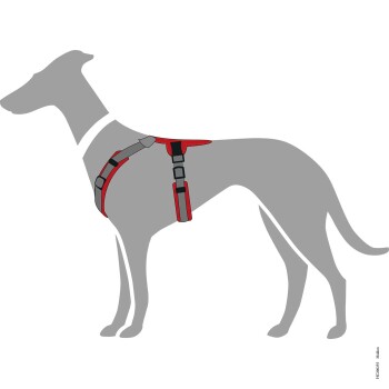 Illustration eines grauen Hundes, der ein rot-schwarzes Geschirr trägt, das das Design und die Passform des Geschirrs zeigt.