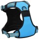 Blaues Hundegeschirr mit gepolstertem Design, verstellbaren Riemen und einem metallischen D-Ring zur Leinenbefestigung.