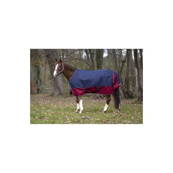 Equitheme Regendecke 50 g 1200 Denier 1,55 m