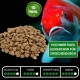 Nahaufnahme von bunten Fischen mit 10mm Fischfutterpellets. Text: "Hochwertiges Leckerchen für Zwischendurch" und Bewertungen für Wachstum und Immunität.