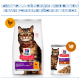 Hill's Science Plan nourriture pour chats (sac et sachet) avec chat tigré ; étiquette « Sensitive Stomach & Skin Adult 1+ » — sac : poulet, sachet : dinde