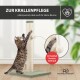 Getigerte Katze kratzt an einem vertikalen Sisal-Kratzbaum mit hängendem Ballspielzeug, deutscher Text über Krallenpflege.