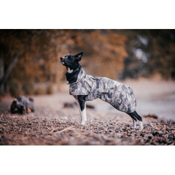 Ein schwarz-weißer Hund, der einen camouflaged Regenmantel trägt, steht auf einer felsigen Oberfläche und schaut mit einem konzentrierten Ausdruck nach oben.