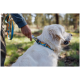 Eine Person hält eine bunte Hundeleine, die am Halsband eines Golden Retrievers befestigt ist, in einer grünen Außenumgebung.