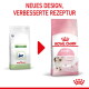 Alte weiße 'Pediatric Growth' versus neuer rosa 'ROYAL CANIN KITTEN Up to 12 months' Sack, roter Pfeil, Überschrift 'NEUES DESIGN, VERBESSERTE REZEPTUR'