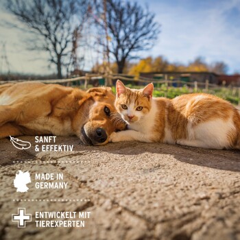 Rote Katze und goldener Hund liegen zusammen im Freien; Text: SANFT & EFFEKTIV, MADE IN GERMANY, ENTWICKELT MIT TIEREXPERTEN.