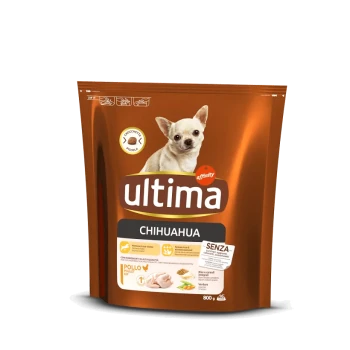 Emballage de nourriture pour chiens pour Chihuahuas, étiqueté "ultima," présentant une image de Chihuahua, taille 800g, et ingrédient "Pollo" (poulet).