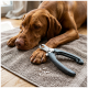 Brauner Hund liegt auf einem Teppich, eine Pfote liegt neben einem Nagelknipser für Haustiere und abgeschnittenen Krallen.