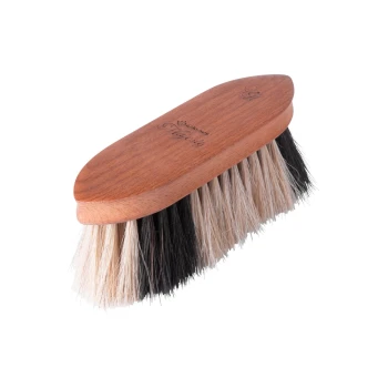 Eine Holz-Haustierpflegebürste mit einem gebogenen Griff und gemischten Borsten, in hellen und dunklen Farben, ideal für die Pflege von Haustieren.