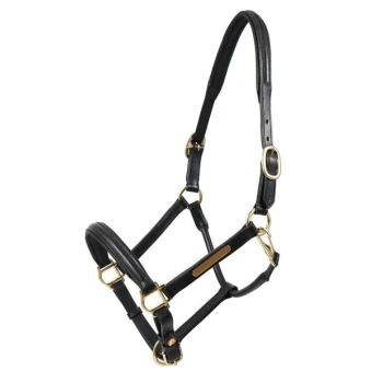 Schwarzes Leder-Haustiergeschirr mit goldenen Beschlägen, mit verstellbaren Riemen und einem zentralen Namensschild.