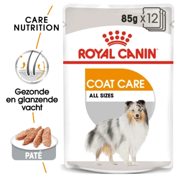 Royal Canin Coat Care huisdiervoeding verpakking, met een honden silhouet, benadrukt "Care Nutrition" en "All Sizes" met 85g x 12 porties.