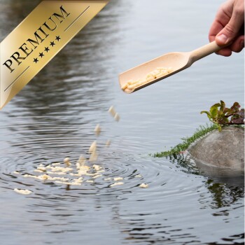 Eine Hand gießt hochwertiges Fischfutter aus einer Holzschaufel in einen Teich und erzeugt Wellen im Wasser.