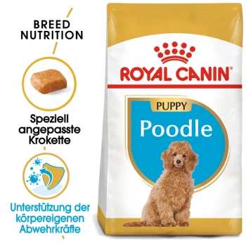 Royal Canin Welpen Pudel Hundefuttertüte mit einem flauschigen Pudelwelpen, mit Text, der die Rassenernährung und die Unterstützung des Immunsystems hervorhebt.