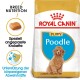 Royal Canin Welpen Pudel Hundefuttertüte mit einem flauschigen Pudelwelpen, mit Text, der die Rassenernährung und die Unterstützung des Immunsystems hervorhebt.