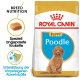 Royal Canin Welpen Pudel Hundefuttertüte mit einem flauschigen Pudelwelpen, mit Text, der die Rassenernährung und die Unterstützung des Immunsystems hervorhebt.