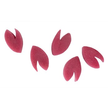 Fünf rote, herzförmige Gummileckerlis für Haustiere mit einer Kerbe in der Mitte, isoliert auf weißem Hintergrund.