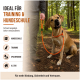 Orange geflochtene Hundeleine mit einer kleinen braun-weißen Lederapplikation auf weißem Hintergrund.