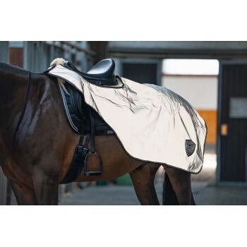 Ein braunes Pferd mit einer glänzenden silbernen Satteldecke, mit einem schwarzen Sattel und Steigbügeln, steht in einem Stall.