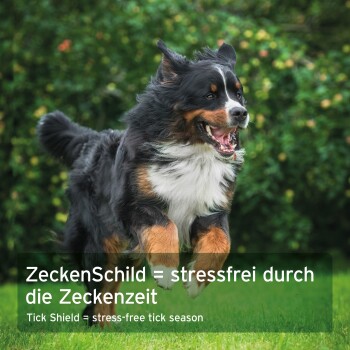 AniFortes "ZeckenSchild - Tick Shield" Etikett für große Hunde, mit Hundillustration, Vorteilen in Deutsch und Englisch sowie einem "hohe Akzeptanz"-Abzeichen.
