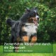 AniFortes "ZeckenSchild - Tick Shield" Etikett für große Hunde, mit Hundillustration, Vorteilen in Deutsch und Englisch sowie einem "hohe Akzeptanz"-Abzeichen.