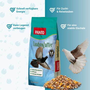 Ein bunter Haufen verschiedener Vogelfuttermischungen, bestehend aus verschiedenen Samen, Körnern und Maiskörnern, vor einem weißen Hintergrund.