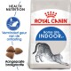 Royal Canin Home Life Indoor kattenvoer zak met een illustratie van een uitrekkende kat, met tekst die de verminderde ontlastinggeur en aangepaste brokjesgrootte benadrukt.