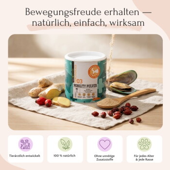 Bild zur Förderung der gesundheitlichen Vorteile für Haustiere, mit Text über Gelenkgesundheit, funktionale Zutaten und Eignung für empfindliche Hunde.