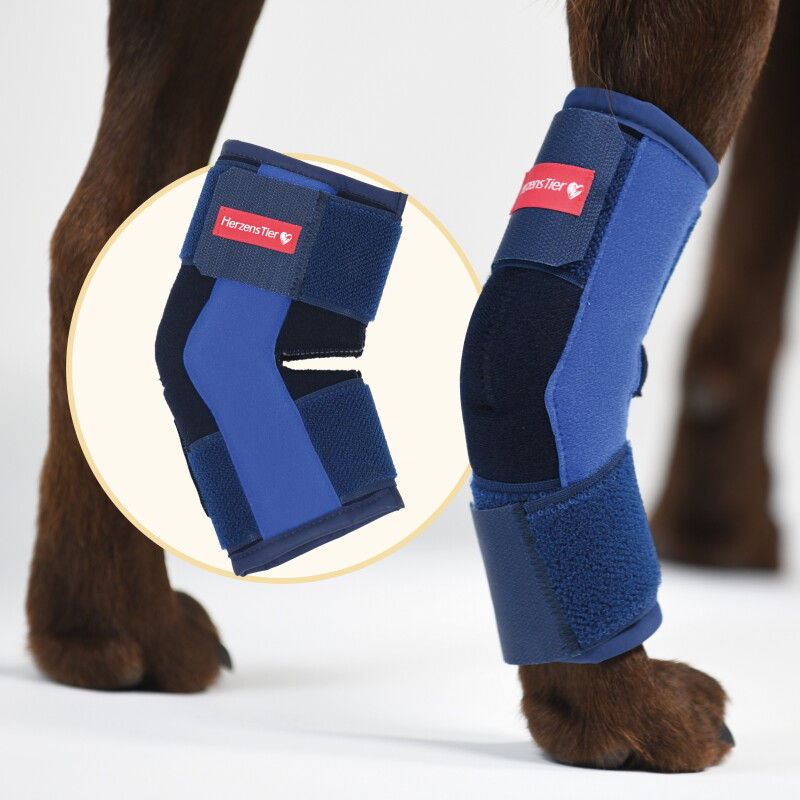 HerzensTier Sprunggelenkbandage Schaumstoff XXXS