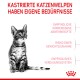 Ein getigertes Kätzchen auf weißem Hintergrund mit rotem Text: "Kastrierte Katzenwelpen haben eigene Bedürfnisse" und drei spezifischen Bedürfnissen aufgelistet.