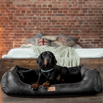 Ein schwarz-brauner Hund ruht in einem stilvollen schwarzen Haustierbett mit einem Lederetikett, vor einer rustikalen Ziegelwand und gemütlicher Bettwäsche.