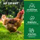 Braunes Huhn steht auf Gras mit deutschem Text über Futterzusätze, Premiumöle und Nährstoffe für glückliches Geflügel.