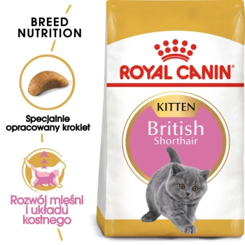 Karma dla kociąt Royal Canin dla brytyjskich krótkowłosych, z zabawnym szarym kociakiem i tekstem o odżywianiu dla zdrowia mięśni i kości.