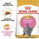 Karma dla kociąt Royal Canin dla brytyjskich krótkowłosych, z zabawnym szarym kociakiem i tekstem o odżywianiu dla zdrowia mięśni i kości.