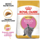 Karma dla kociąt Royal Canin dla brytyjskich krótkowłosych, z zabawnym szarym kociakiem i tekstem o odżywianiu dla zdrowia mięśni i kości.