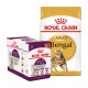 Emballage de nourriture pour animaux Royal Canin présentant un pack de 12 sachets Sensory et un sac de nourriture sèche Adult Bengal, mettant en avant une image de chat Bengal.