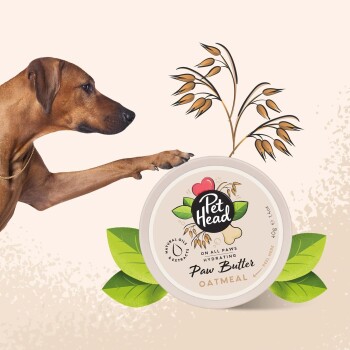 Ein Hundepfote, die auf einen runden Behälter mit Pet Head Paw Butter zeigt, beschriftet mit 'Haferflocken', umgeben von illustrierten Blättern und Körnern.