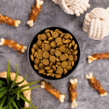 Eine schwarze Schüssel, gefüllt mit runden, goldenen Haustierfutter-Kibbles, umgeben von Hundekau-Knochen und einer grünen Pflanze, auf einer grauen Oberfläche.