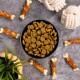Eine schwarze Schüssel, gefüllt mit runden, goldenen Haustierfutter-Kibbles, umgeben von Hundekau-Knochen und einer grünen Pflanze, auf einer grauen Oberfläche.
