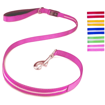 Eine pink gestreifte Hundeleine mit einem silbernen Clip, neben sechs Farbmustern: rot, gelb, blau, grün, pink und lila.