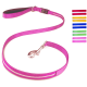 Eine pink gestreifte Hundeleine mit einem silbernen Clip, neben sechs Farbmustern: rot, gelb, blau, grün, pink und lila.