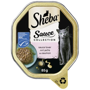 Sheba Sauce Collection Katzenfutter, 85g, mit einer grauen Katze und einer Schüssel mit Futter und Kräutern, gekennzeichnet mit "sauce lover mit Lachs au saumon."