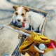 Hundegeschirr Recyceltes Polyester beige S