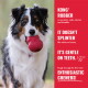 Dog holding red KONG toy; red panel reads KONG RUBBER: it doesn't splinter, it's gentle on teeth, enthusiastic chewers!