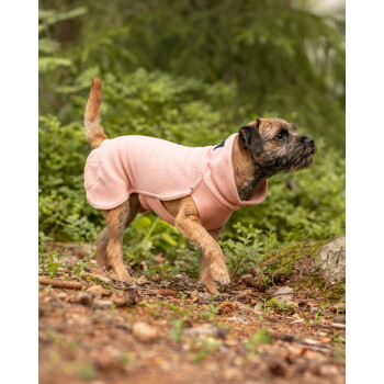 Kleiner brauner Terrier trägt einen rosa Fleece-Hundemantel und läuft auf Waldboden.