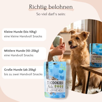 Eine Frau hält einen Beagle im Freien zwischen Grün, mit Sprechblasen, die Produktmerkmale und Vorteile hervorheben.