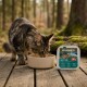 Chat tigré mangeant dans un bol beige sur une terrasse en bois dans une forêt, à côté d'un plateau de nourriture pour animaux étiqueté WILDERNESS ADULT DARK FORD 97 % 3 % 0 %.
