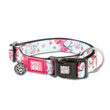 Blaues und pinkes florales Hundehalsband mit schwarzer Schnalle, Metallring und Anhängern mit der Aufschrift „Max & Molly Urban Pets“ und „I am lost return me please.“